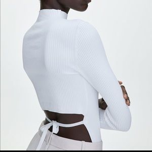 NWOT BABATON AMBROSIA Sculpt Knit Sweater